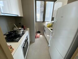 Skyline Residences (D4), Condominium #480021251